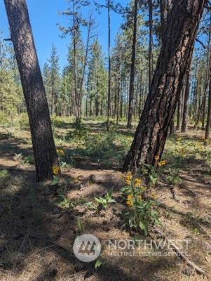 -xx West Long Lake Road Ford, WA 99013 - Photo 10 of 11 Gallery Image 10