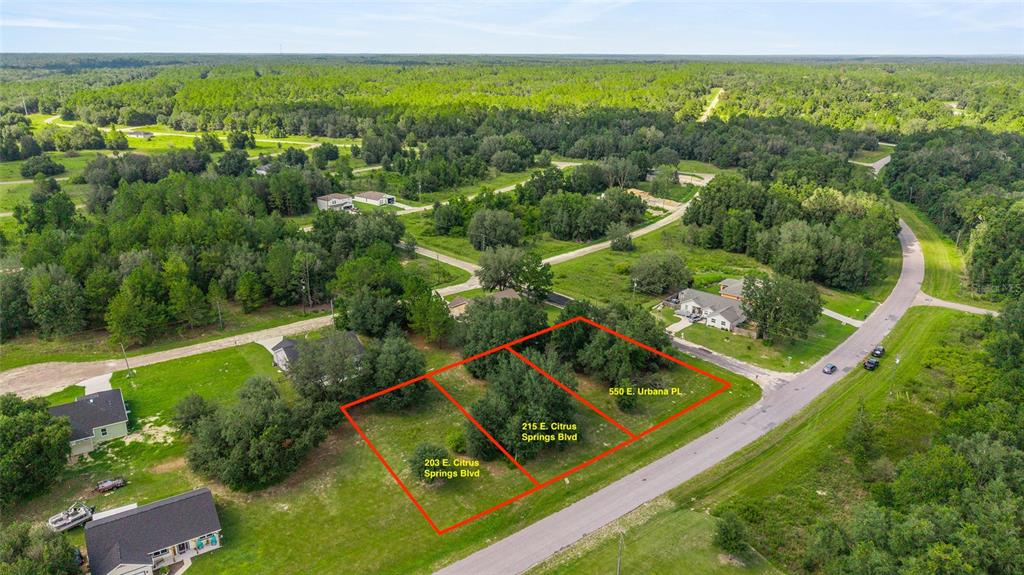 203 East Citrus Springs Boulevard Citrus Springs, FL 34434 - Photo 4 of 5 a view of a yard with a swimming pool