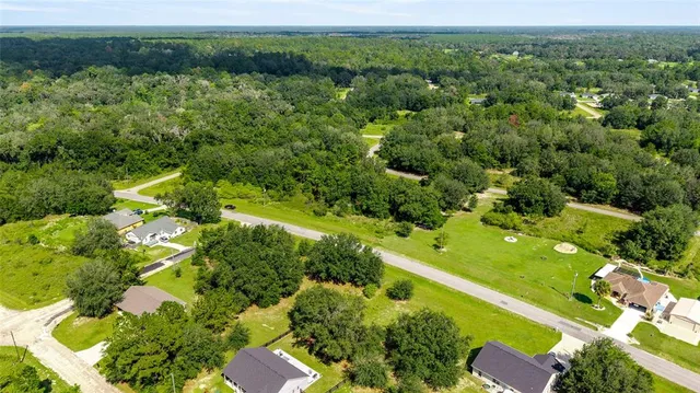 an aerial view of a residential houses with outdoor space and trees