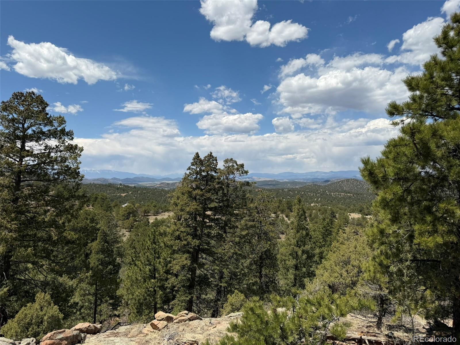 477 Bear Peak Road Westcliffe, CO 81252 - Photo 14 of 39