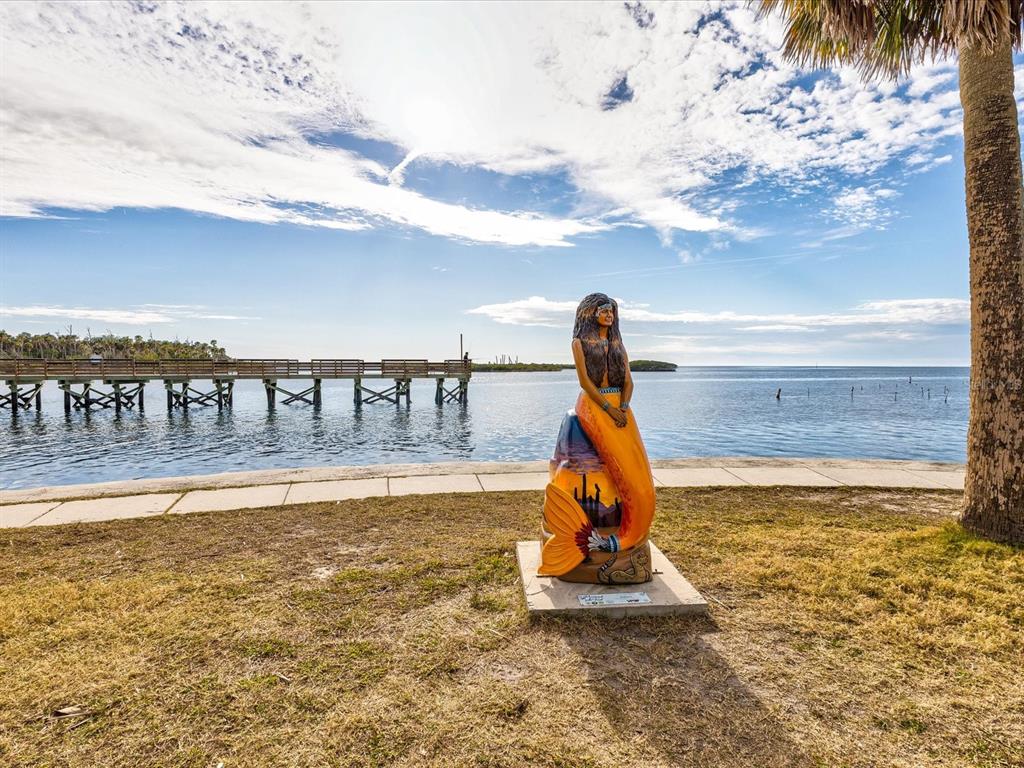 11981 Robina Road Weeki Wachee, FL 34614 - Photo 88 of 94