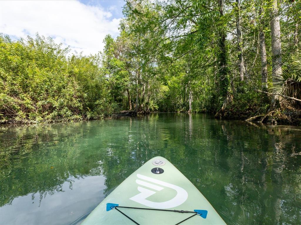 11981 Robina Road Weeki Wachee, FL 34614 - Photo 94 of 94