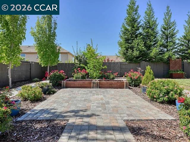 5525 Mossy Stone Way Rancho Cordova, CA 95742 - Photo 23 of 31 a view of a bunch of flowers