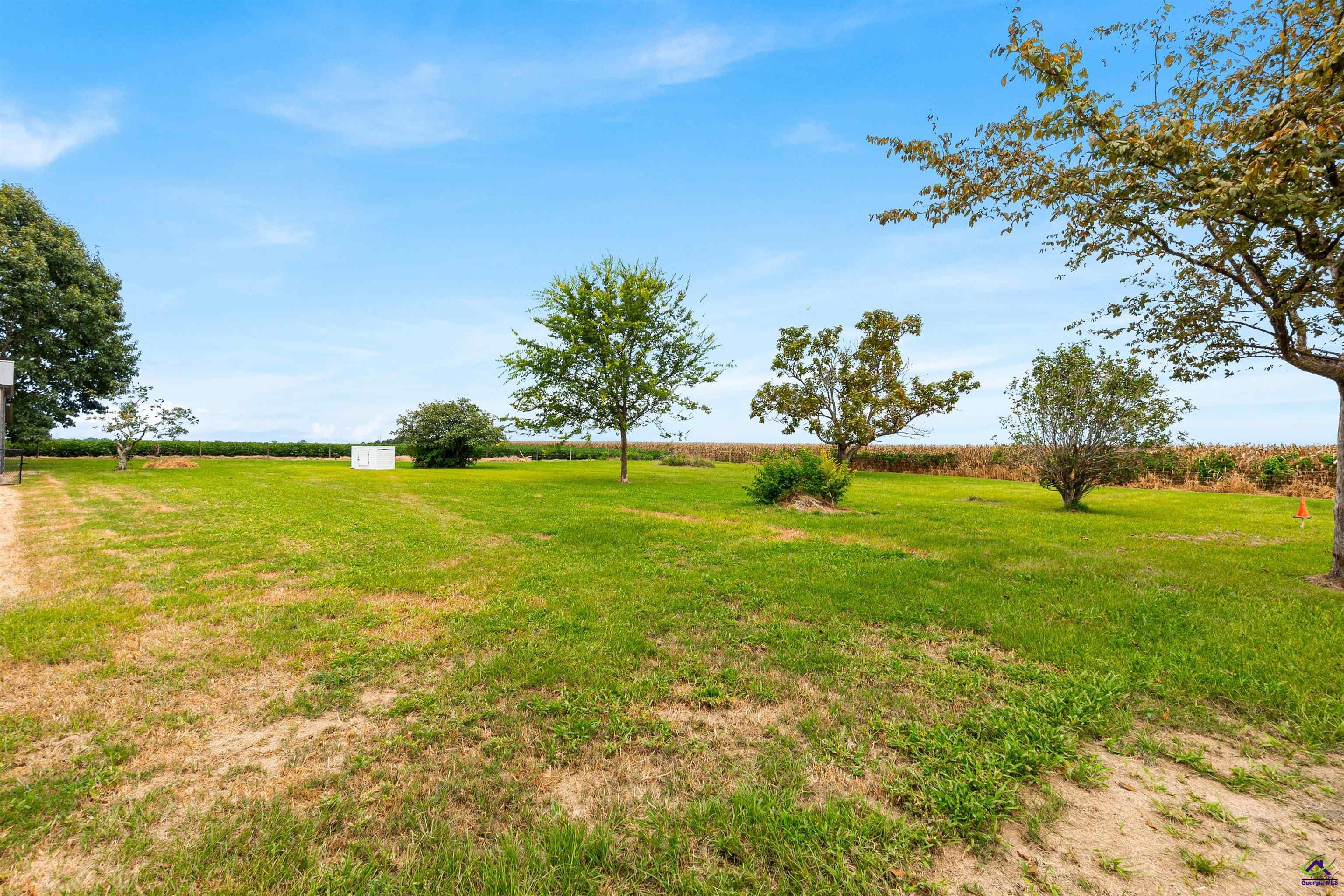 323 Rocky Ford Road Pinehurst, GA 31070 - Photo 53 of 73 Gallery Image 53