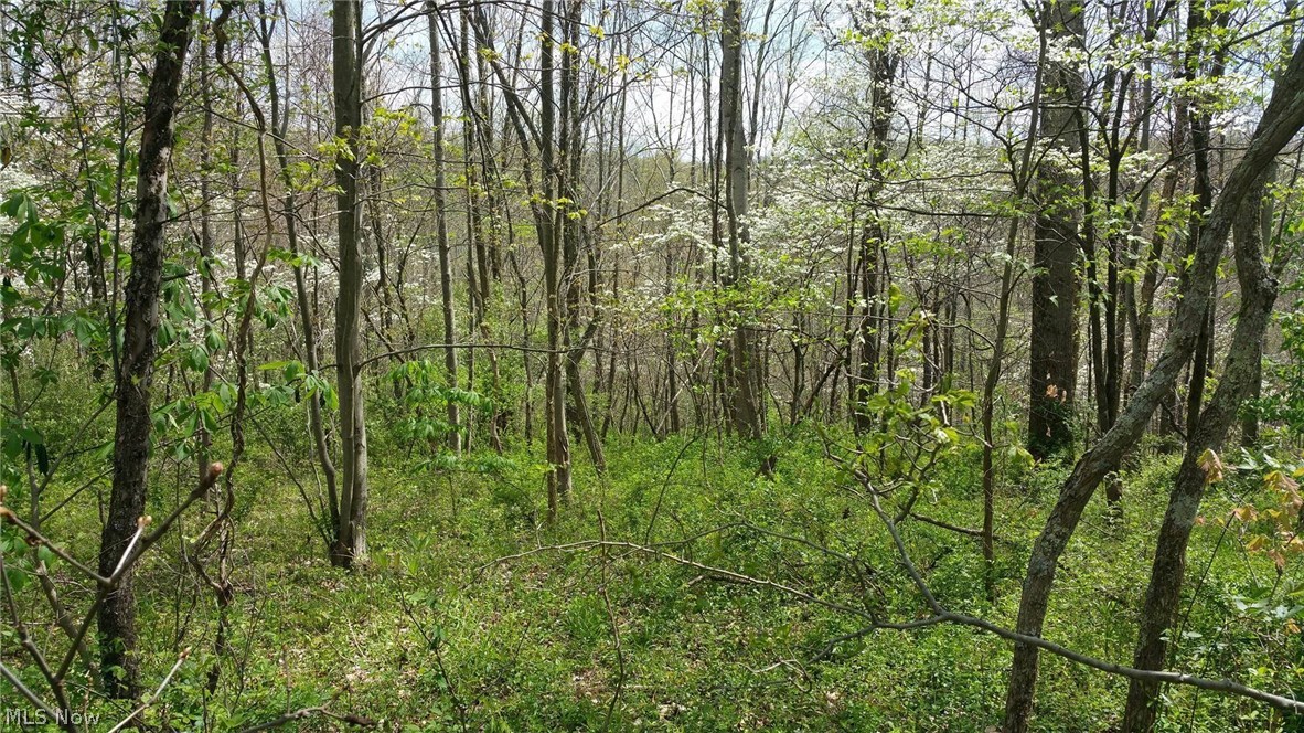 Thompson Ridge Road Athens, OH 45701 - Photo 9 of 10