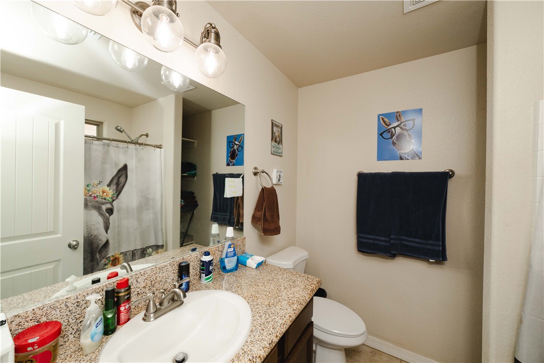 415 Mormon Flat Road Golden Valley, AZ 86413 - Photo 20 of 42 Bathroom