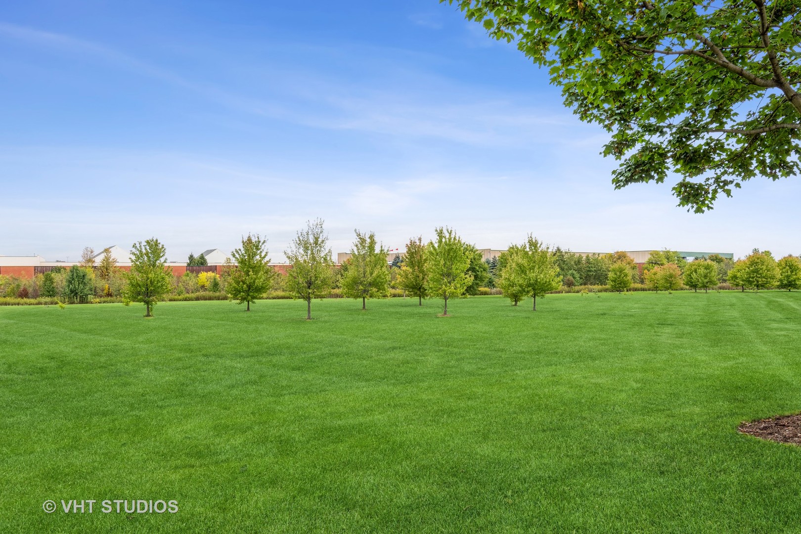 2613 Carrolwood Road Naperville, IL 60540 - Photo 11 of 11 a view of grassy field with trees