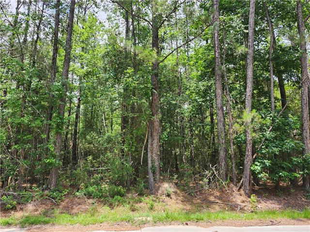 25584 West Chestnut Street Lacombe, LA 70445 - Photo 1 of 1