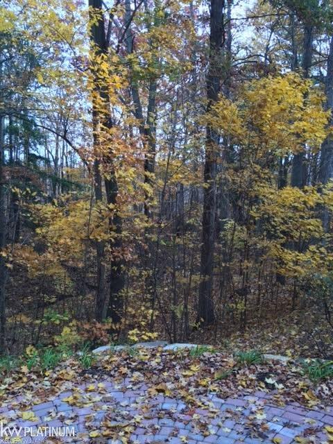 3452 Wadhams Road North Street, MI 48049 - Photo 5 of 48 31260281-4.JPG
