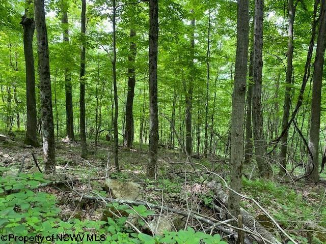 Lot 8 Panroamic Dryfork, WV 26263 - Photo 2 of 7 Gallery Image 2