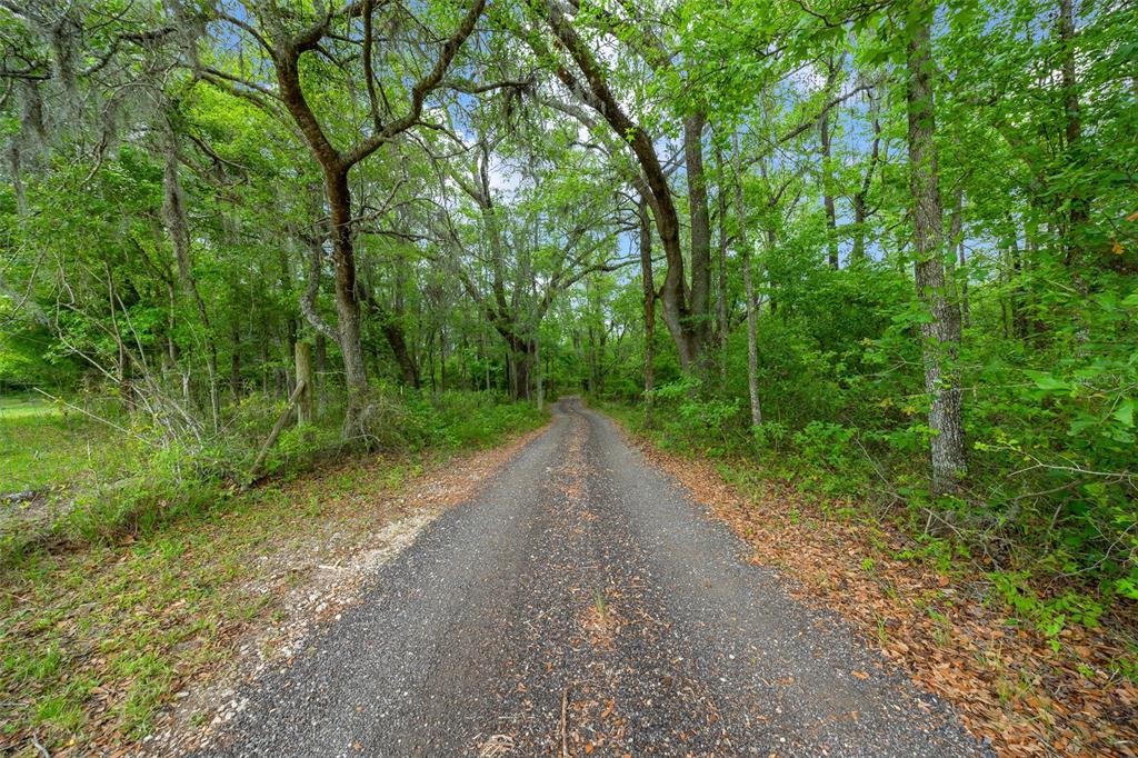 732 Carl Wilson Road Fort White, FL 32038 - Photo 48 of 80 a view of a road with a trees in the background