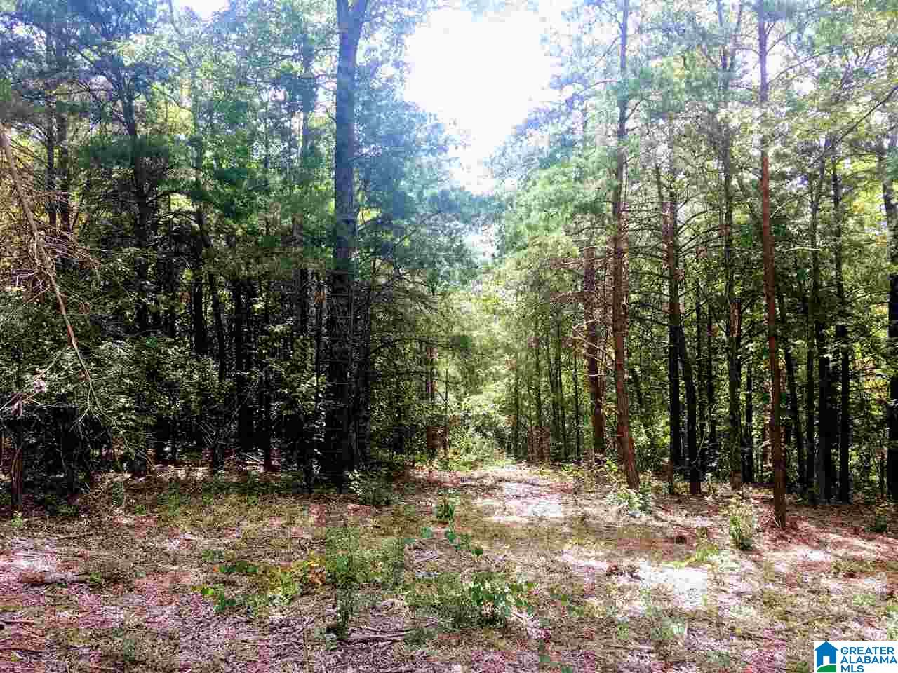 2565 Kentuck Road, Unit 4569 Oxford, AL 36203 - Photo 22 of 46