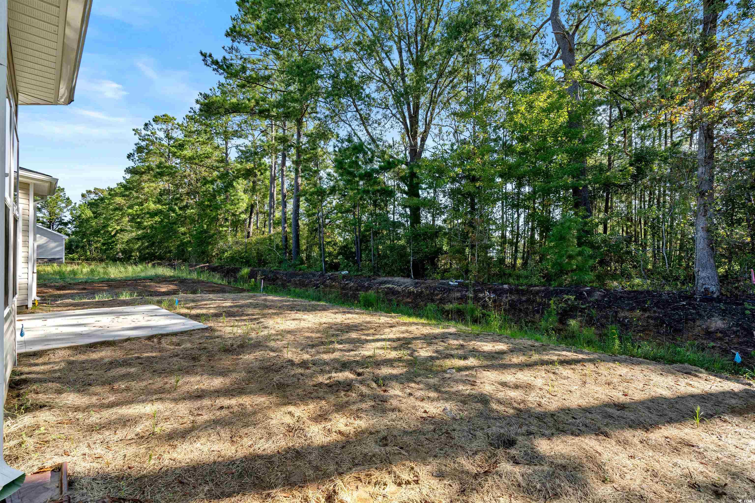 2439 Campton Loop Conway, SC 29527 - Photo 30 of 32 Gallery Image 30