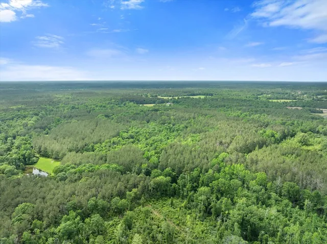 $176,000 | Xx Xx Dudley Rimes/ Silver Drive, Magnolia, MS 39652