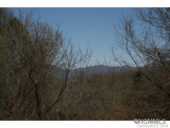 2038 Kims Cove Road Canton, NC 28716 - Photo 5 of 12