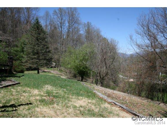 2038 Kims Cove Road Canton, NC 28716 - Photo 9 of 12