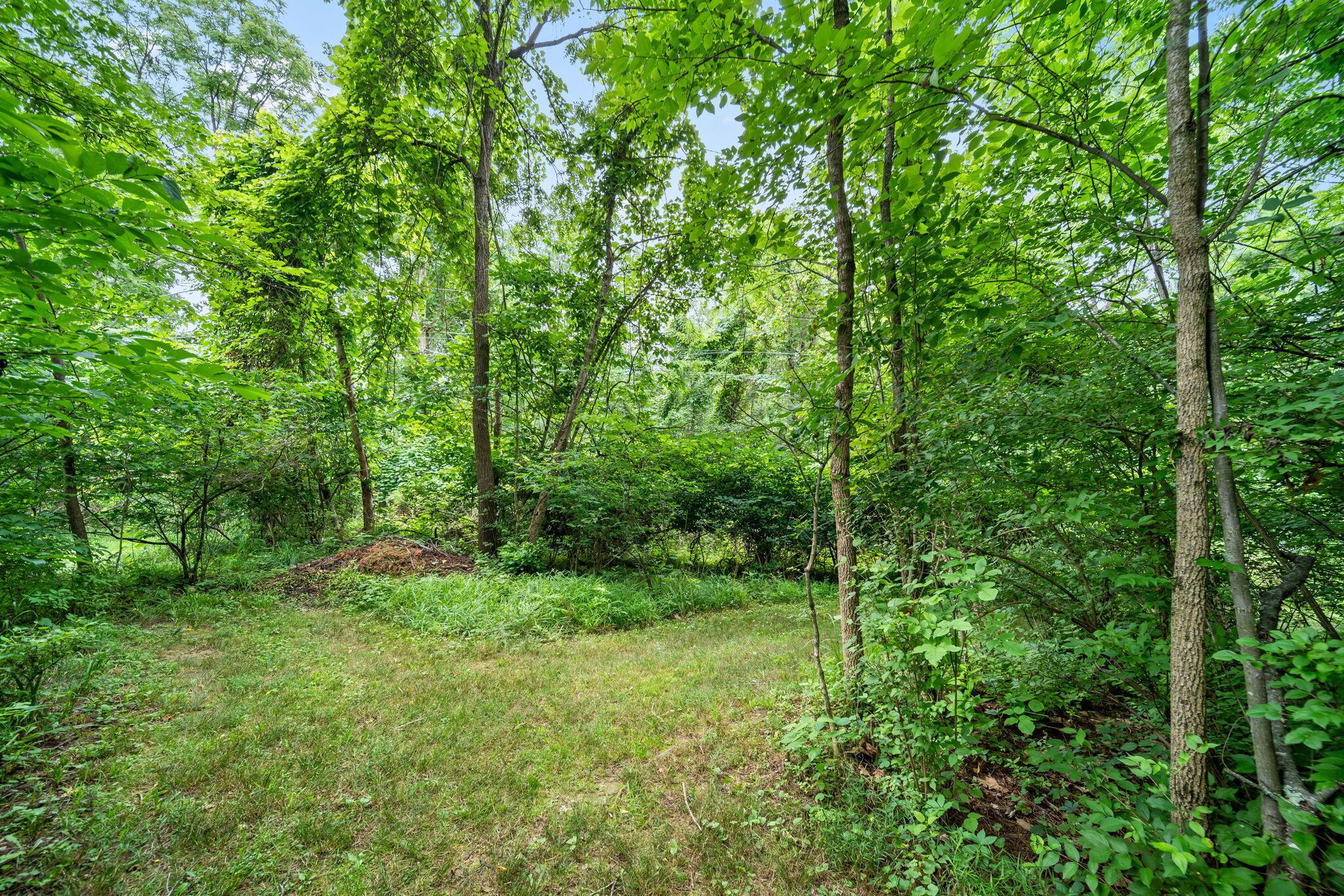 2125 Carriage Road Powell, OH 43065 - Photo 76 of 89 112-web-or-mls-DSC00115