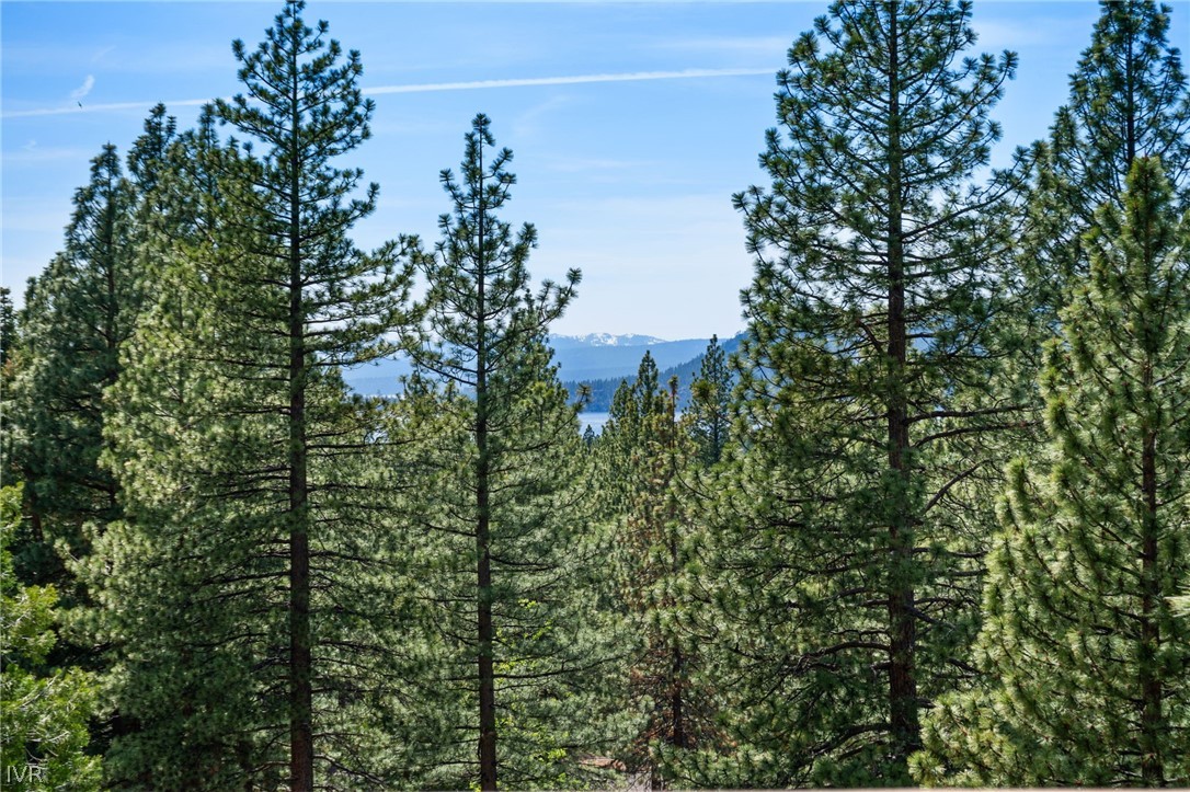 335 Ski Way, Unit 329 Incline Village, NV 89451 - Photo 29 of 39 View