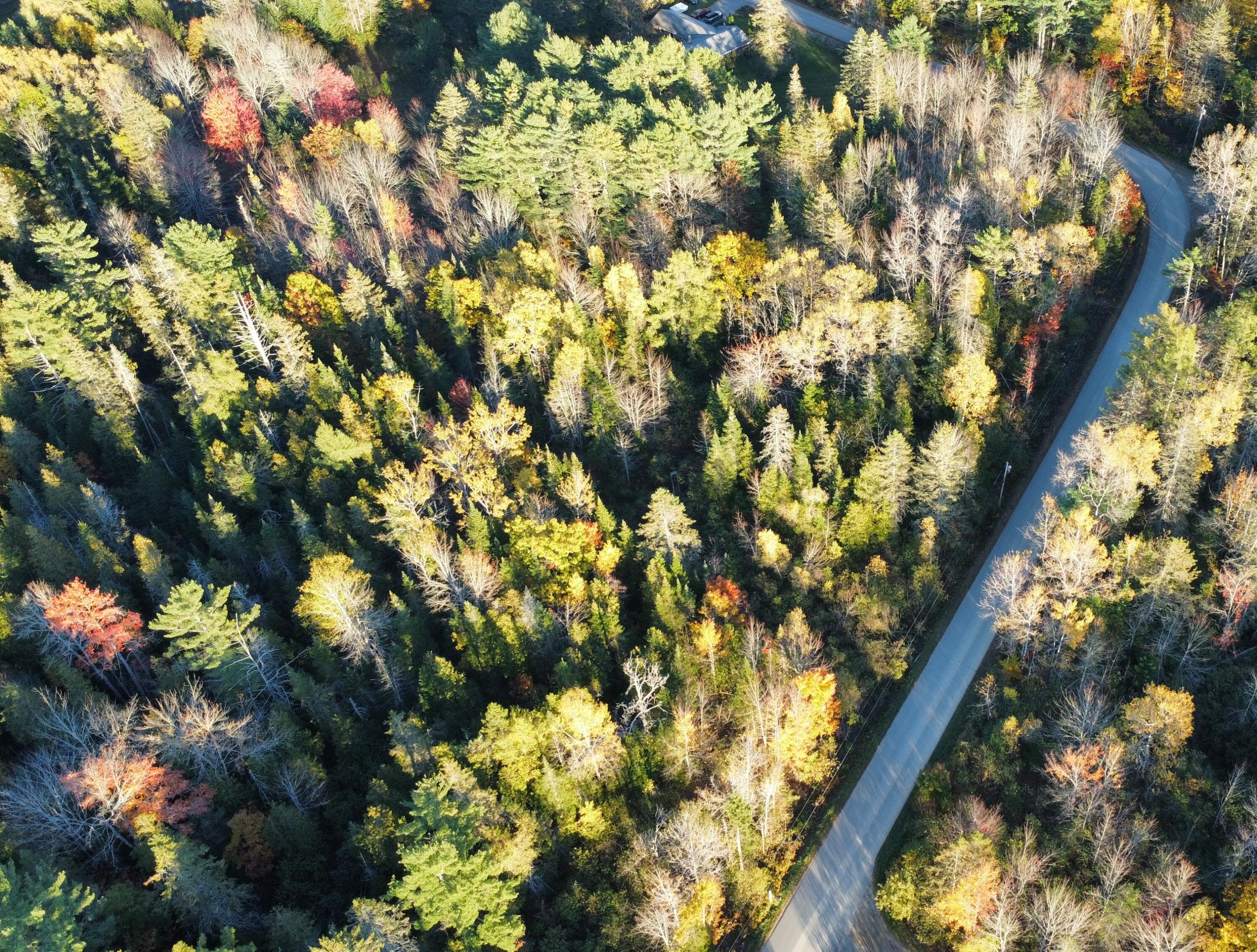 35 Hackett Road Winterport, ME 04496 - Photo 12 of 20 Drone Lot East Side