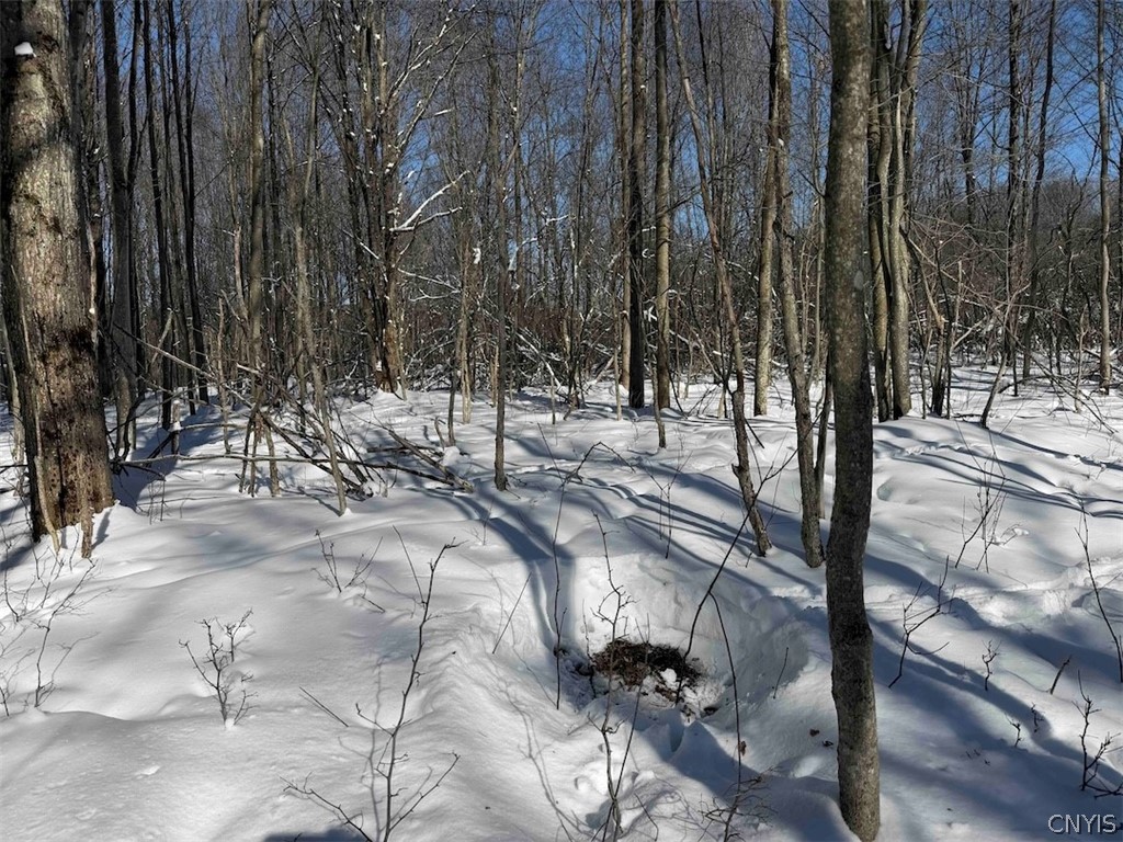 Cemetery Hill Road Franklinville, NY 14737 - Photo 11 of 35