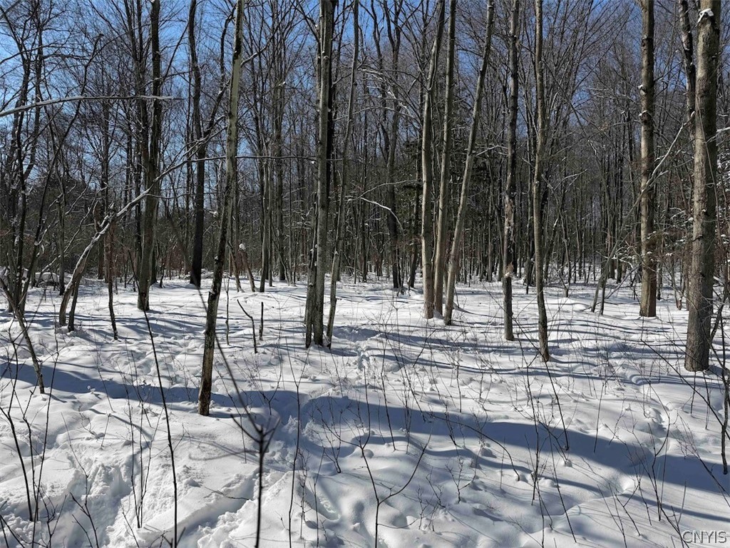 Cemetery Hill Road Franklinville, NY 14737 - Photo 12 of 35