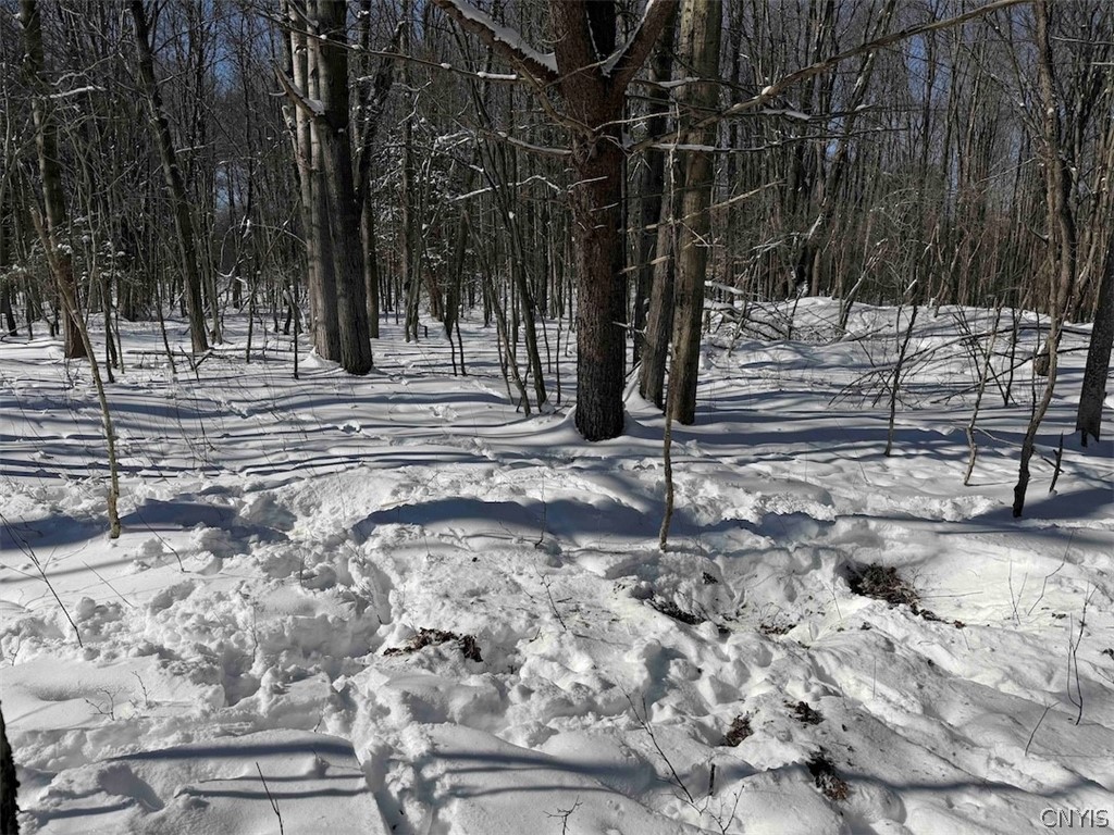 Cemetery Hill Road Franklinville, NY 14737 - Photo 13 of 35