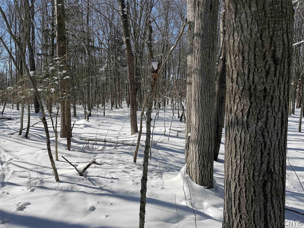 Cemetery Hill Road Franklinville, NY 14737 - Photo 14 of 35