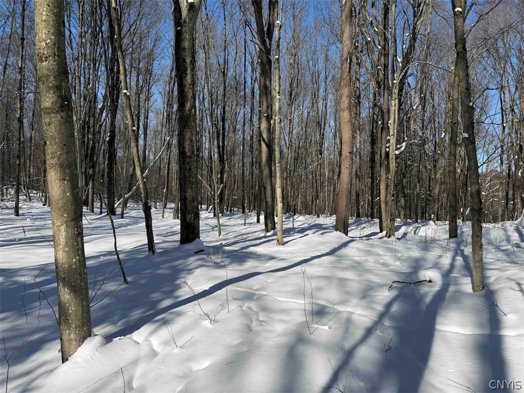 Cemetery Hill Road Franklinville, NY 14737 - Photo 15 of 35