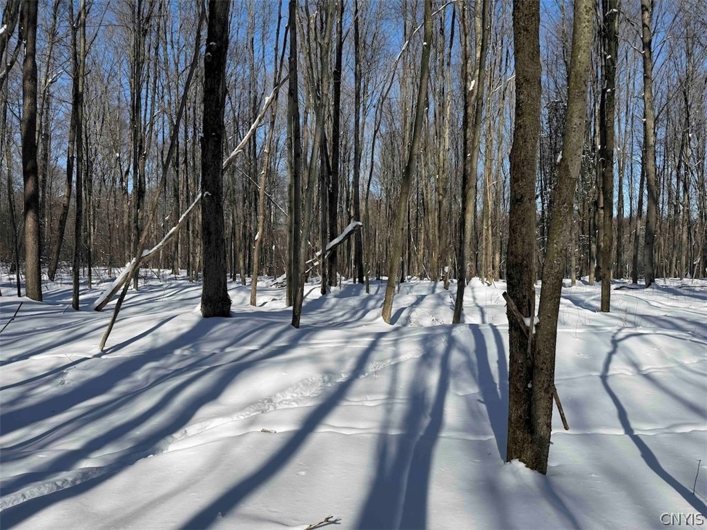 Cemetery Hill Road Franklinville, NY 14737 - Photo 16 of 35