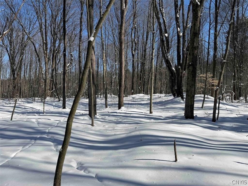 Cemetery Hill Road Franklinville, NY 14737 - Photo 17 of 35