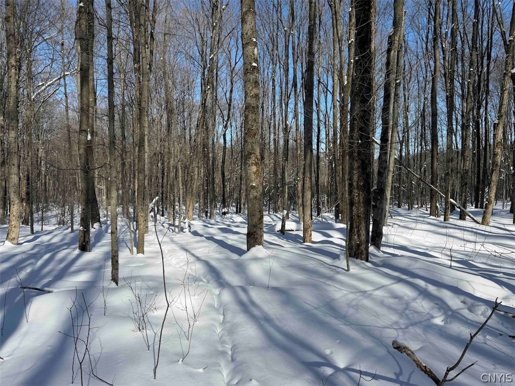 Cemetery Hill Road Franklinville, NY 14737 - Photo 18 of 35