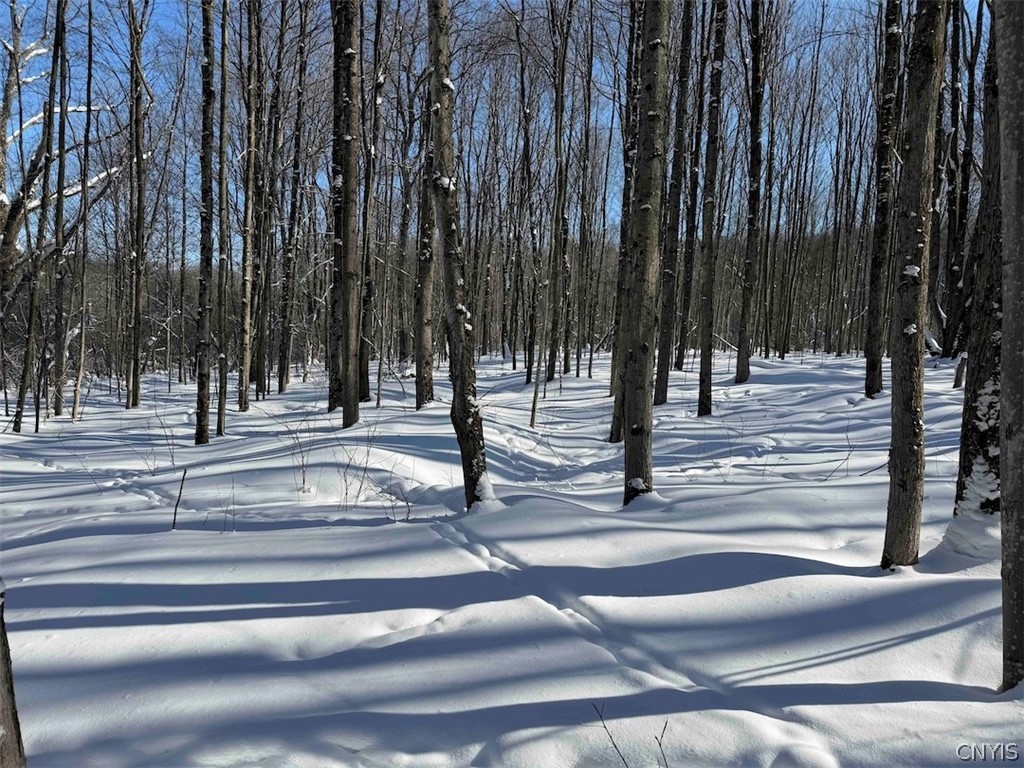Cemetery Hill Road Franklinville, NY 14737 - Photo 19 of 35