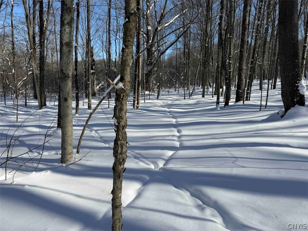 Cemetery Hill Road Franklinville, NY 14737 - Photo 20 of 35