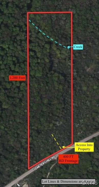 Cemetery Hill Road Franklinville, NY 14737 - Photo 2 of 35