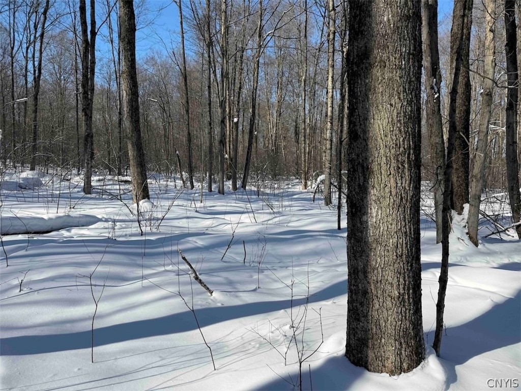 Cemetery Hill Road Franklinville, NY 14737 - Photo 21 of 35