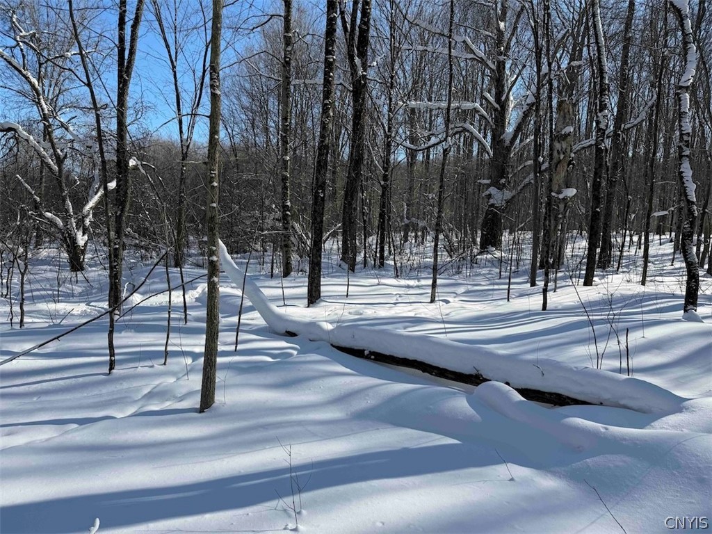 Cemetery Hill Road Franklinville, NY 14737 - Photo 22 of 35