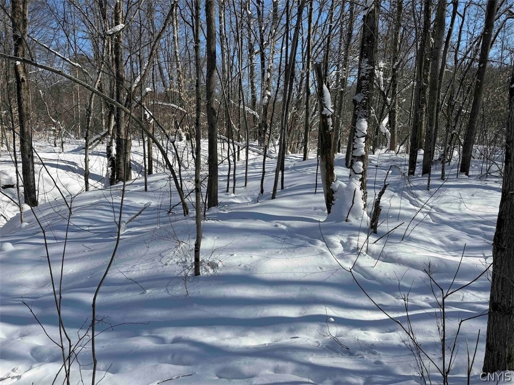 Cemetery Hill Road Franklinville, NY 14737 - Photo 23 of 35