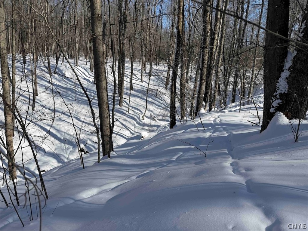 Cemetery Hill Road Franklinville, NY 14737 - Photo 24 of 35