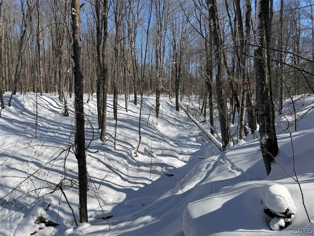 Cemetery Hill Road Franklinville, NY 14737 - Photo 25 of 35