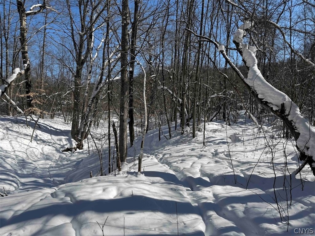Cemetery Hill Road Franklinville, NY 14737 - Photo 26 of 35