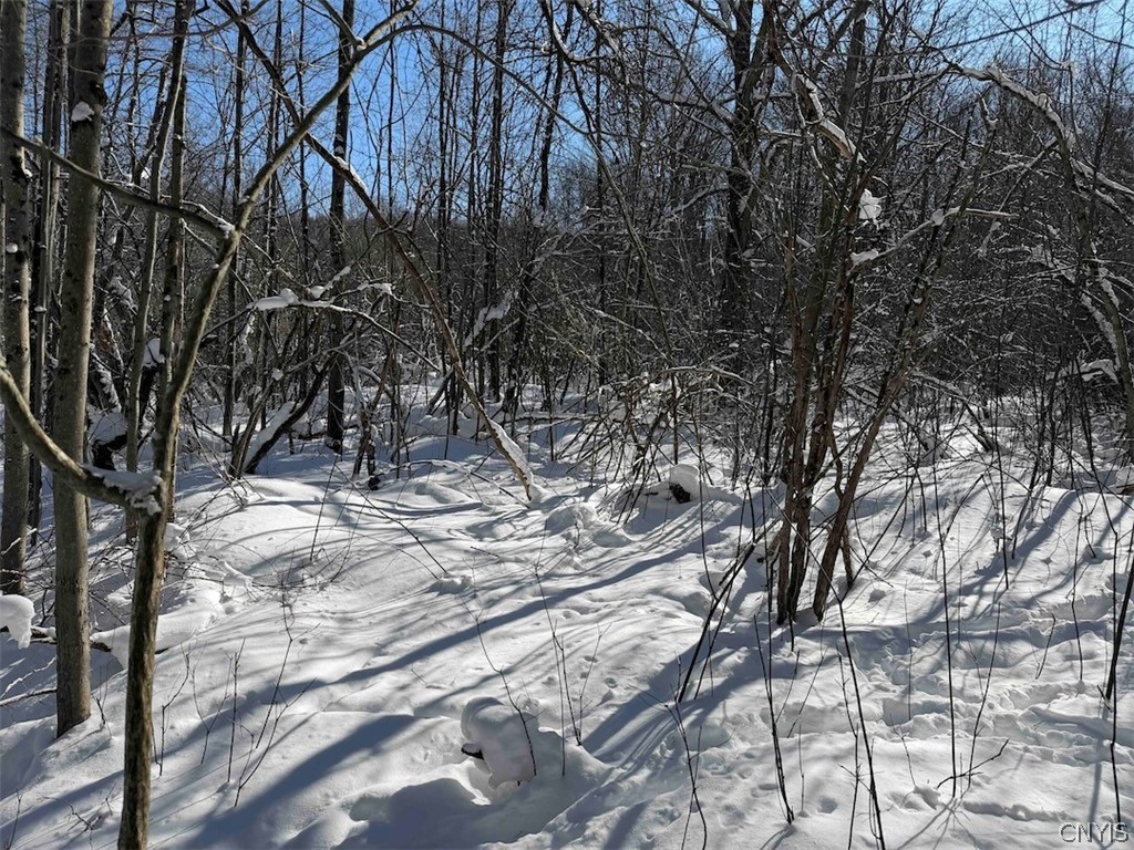 Cemetery Hill Road Franklinville, NY 14737 - Photo 27 of 35
