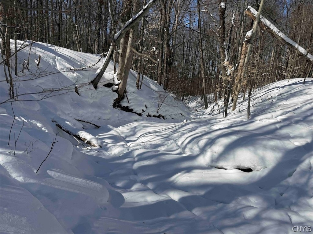 Cemetery Hill Road Franklinville, NY 14737 - Photo 28 of 35