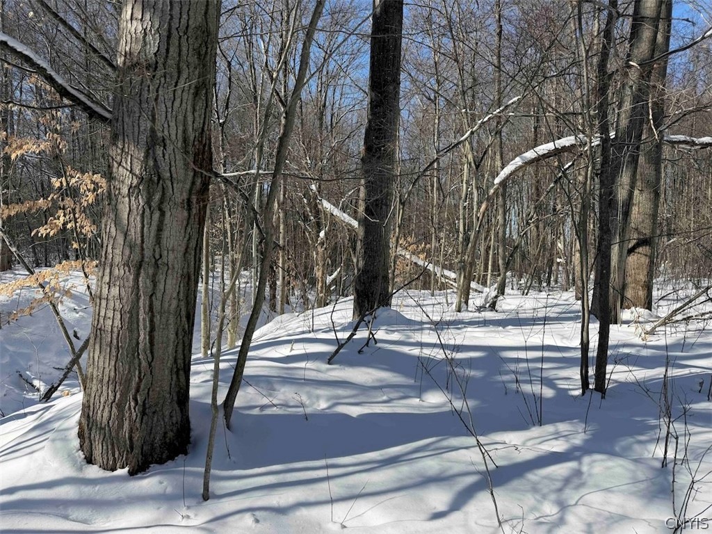Cemetery Hill Road Franklinville, NY 14737 - Photo 29 of 35