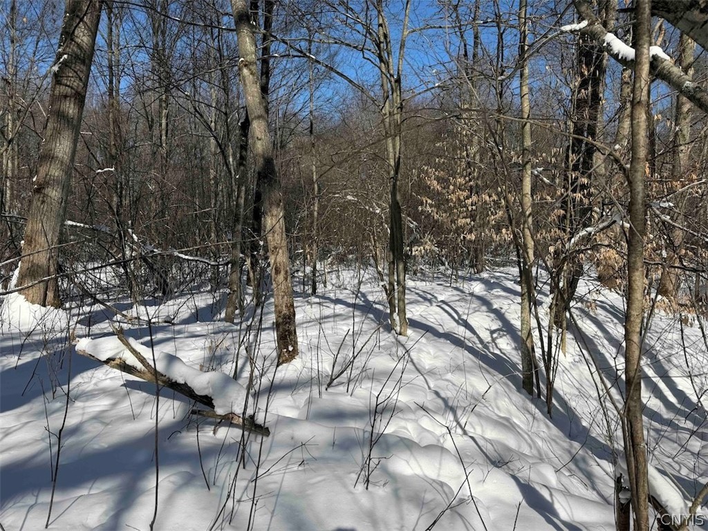 Cemetery Hill Road Franklinville, NY 14737 - Photo 30 of 35