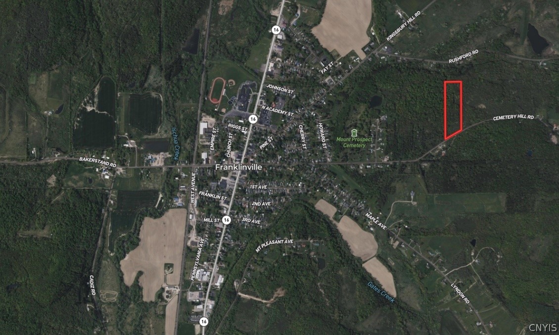 Cemetery Hill Road Franklinville, NY 14737 - Photo 3 of 35