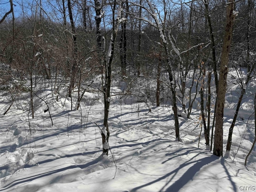 Cemetery Hill Road Franklinville, NY 14737 - Photo 31 of 35