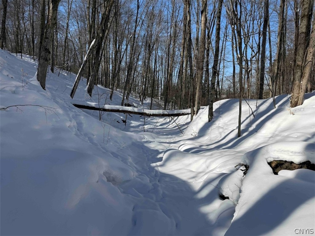 Cemetery Hill Road Franklinville, NY 14737 - Photo 32 of 35