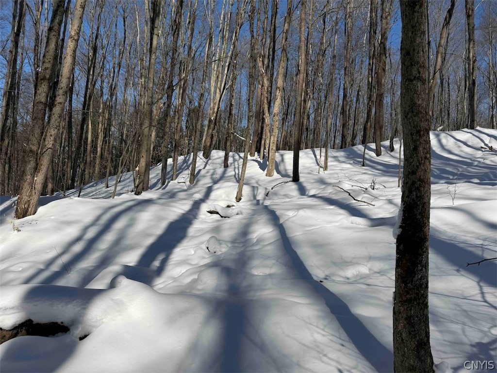 Cemetery Hill Road Franklinville, NY 14737 - Photo 33 of 35