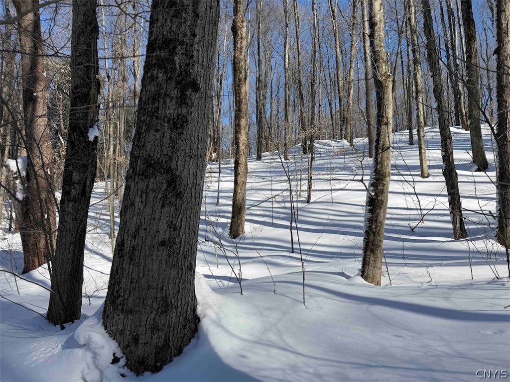 Cemetery Hill Road Franklinville, NY 14737 - Photo 34 of 35