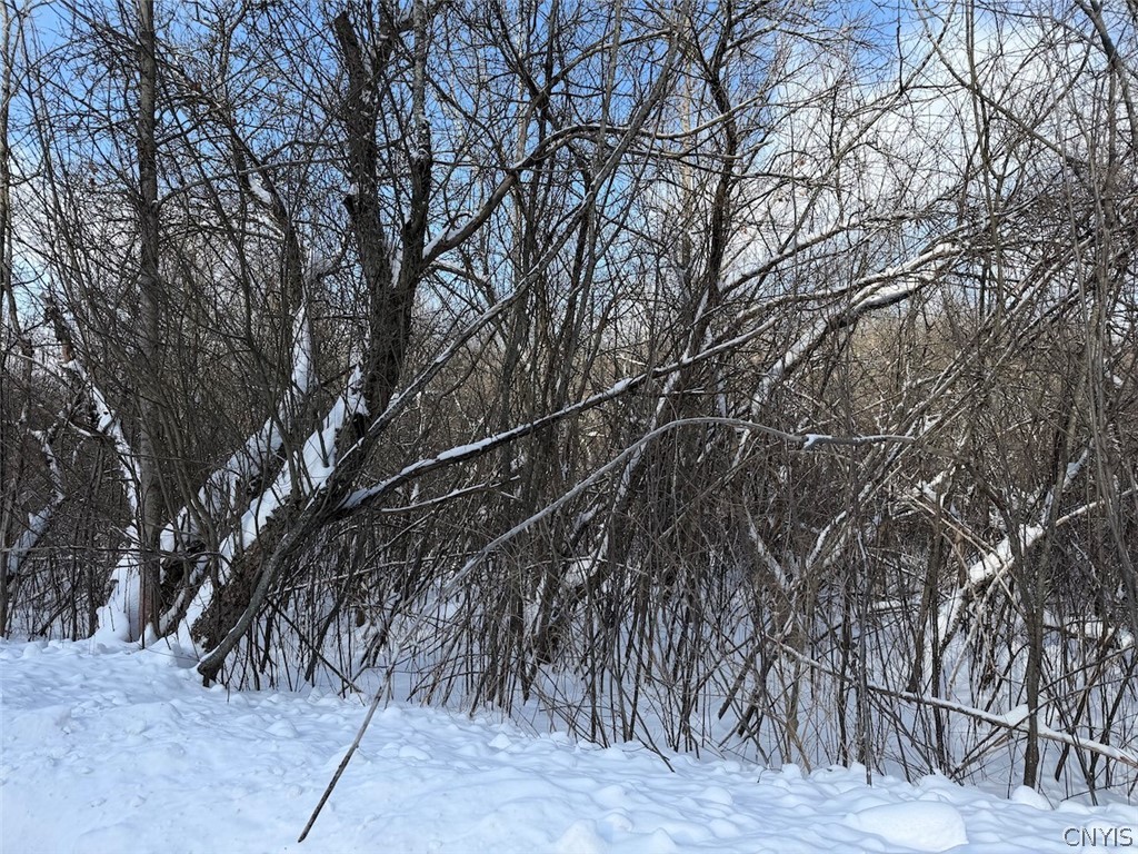 Cemetery Hill Road Franklinville, NY 14737 - Photo 6 of 35